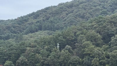 천안시장애인종합체육관, “물 위에서 꿈꾸다” CODA 가족과 함께한 수상스키캠프